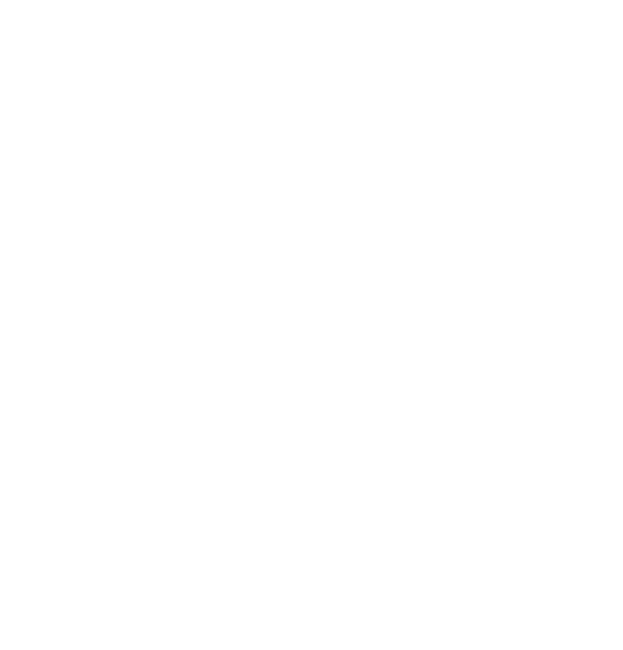 POSITION HIRTSHALS logo